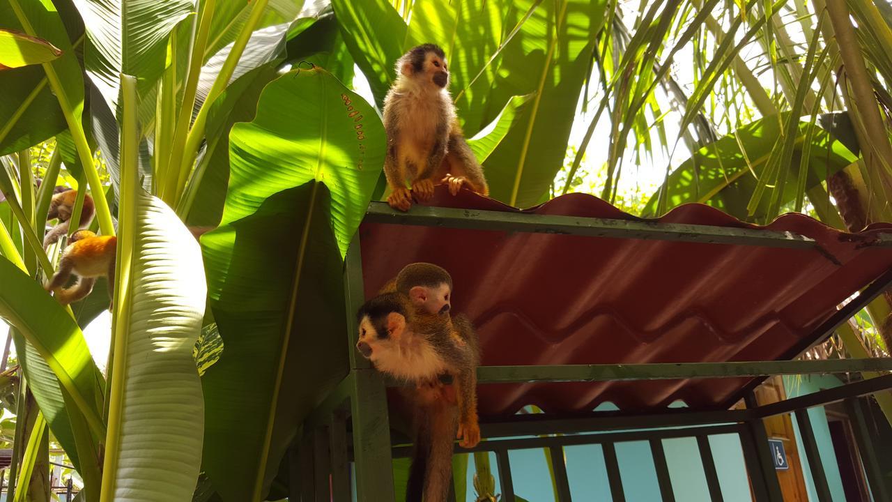 מנואל אנטוניו La Posada Jungle Hotel מראה חיצוני תמונה
